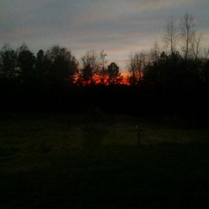 Meet your Posher, Ms. laura